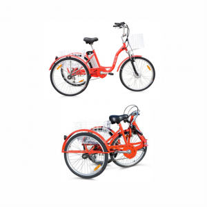 Triciclo Elettrica a tre ruote con pedalata assistita, bicicletta per 